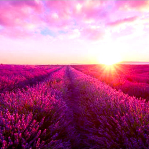 Hello Gorgeous $30 Dresses Mystery Box Special you will get a lounge dress💜💜💜💜💜💜 - Picture 9 of 16